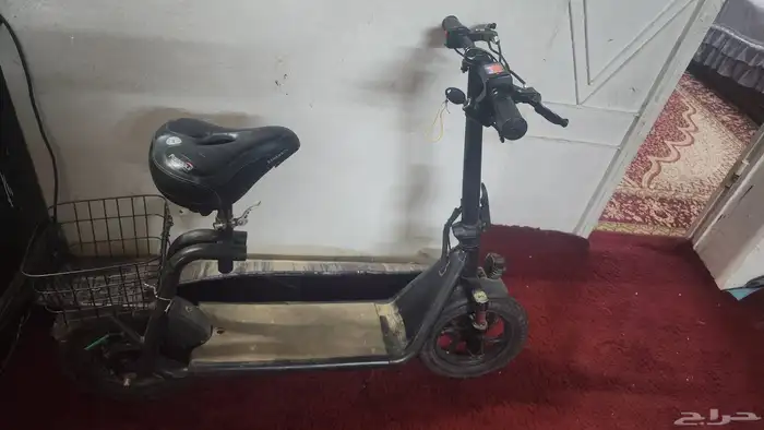 سكواتر سله 3