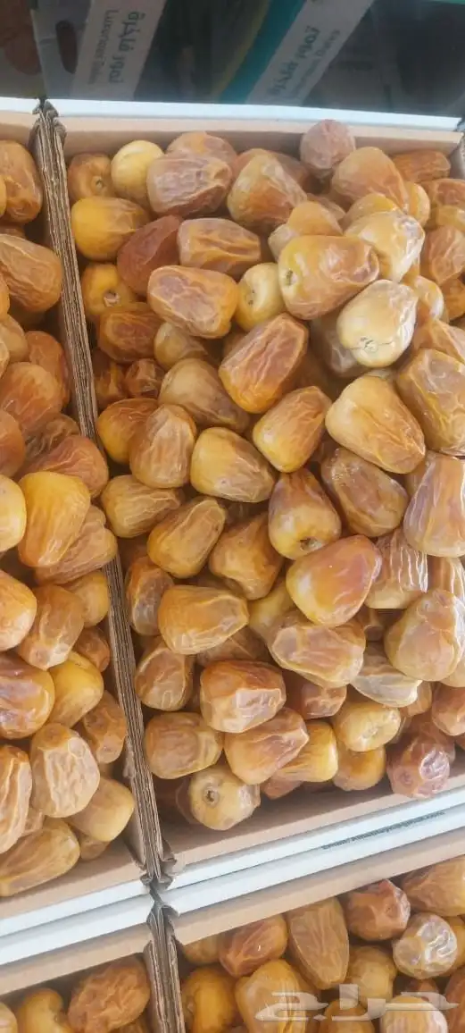 مفتل ورطب السكري وتمور المدينةبأعلى جودة من المزارعين 4
