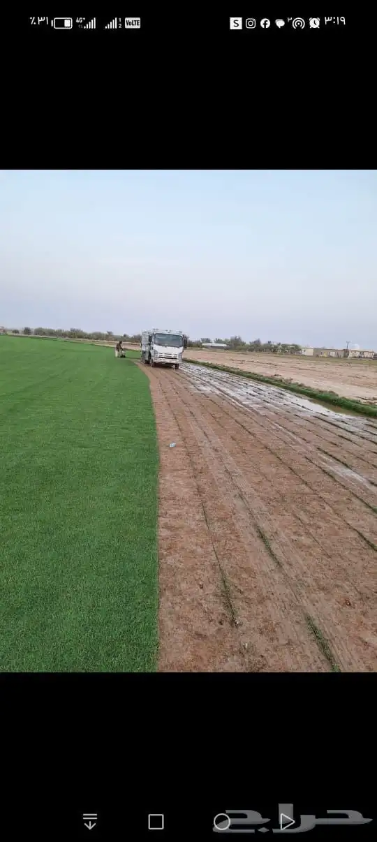 ثيل طبيعي درجة اولى C2000 5