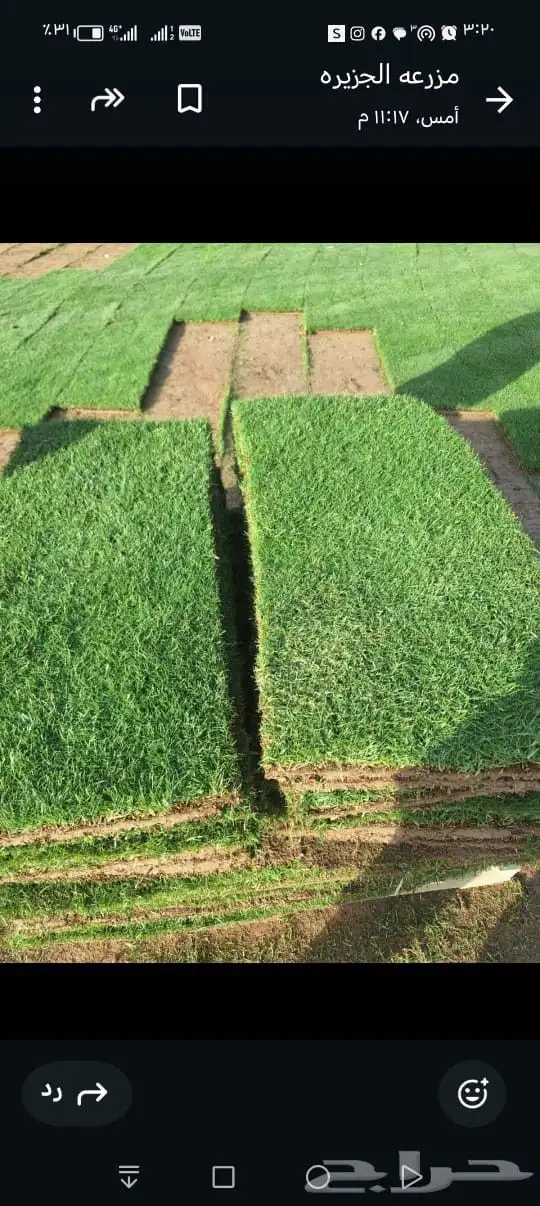 ثيل طبيعي درجة اولى C2000 2