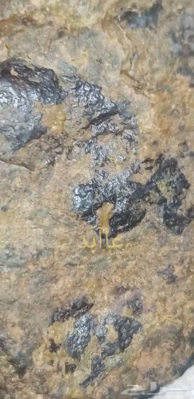 نيزك النخلة..Palm meteorite 1