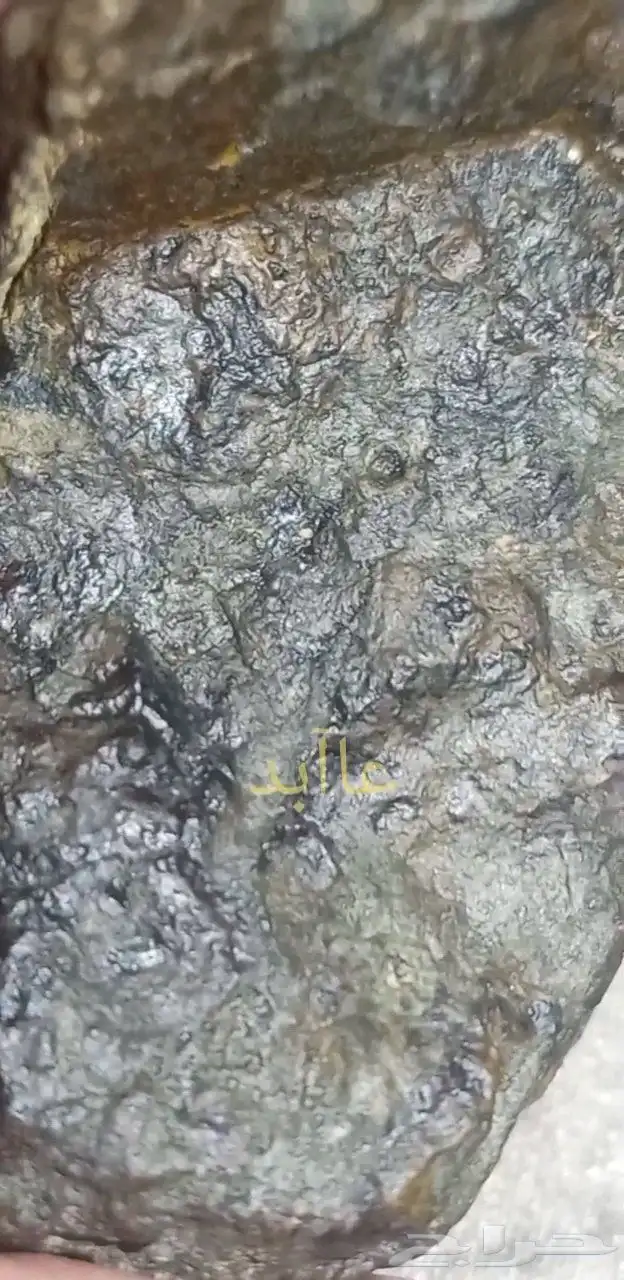 نيزك النخلة..Palm meteorite 5