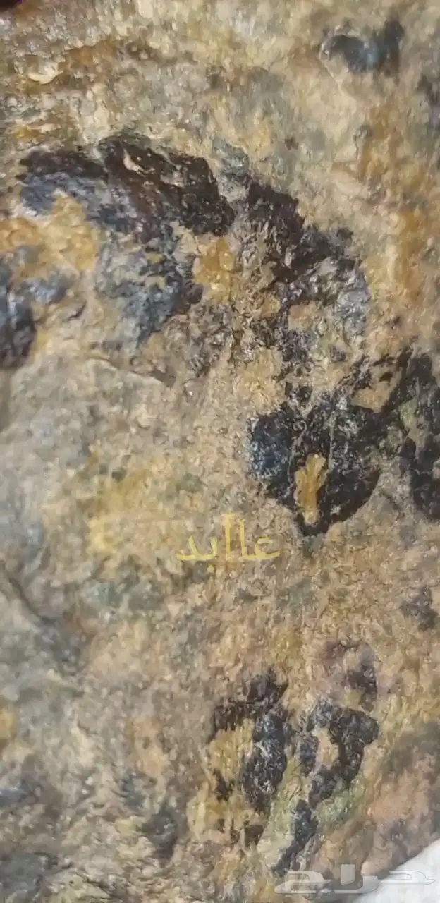 نيزك النخلة..Palm meteorite 2