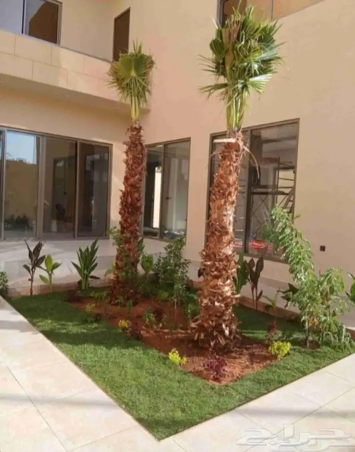 تنسيق حدائق 3