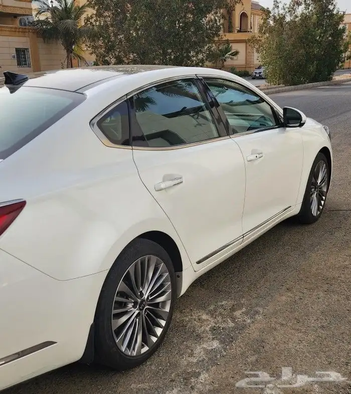 كادينزا 2020 6