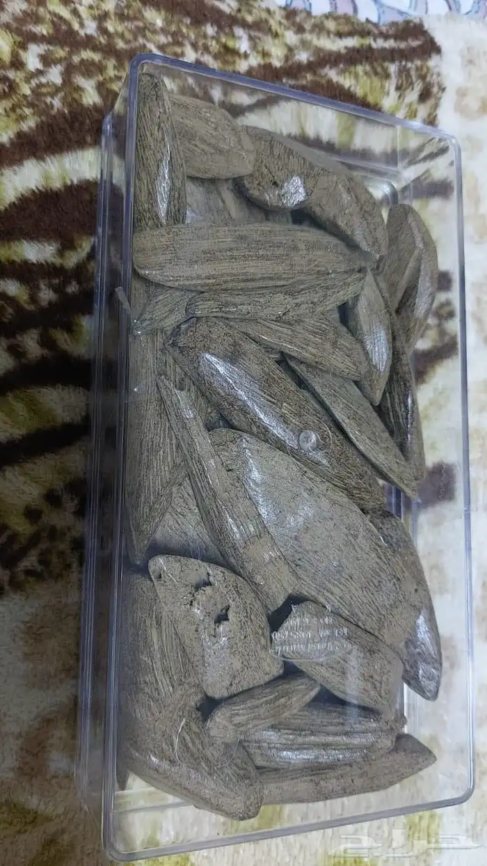 عود مروكي رقم واحد ريحه وجوده وثبات وجوده وضمانه ذهبيه 0