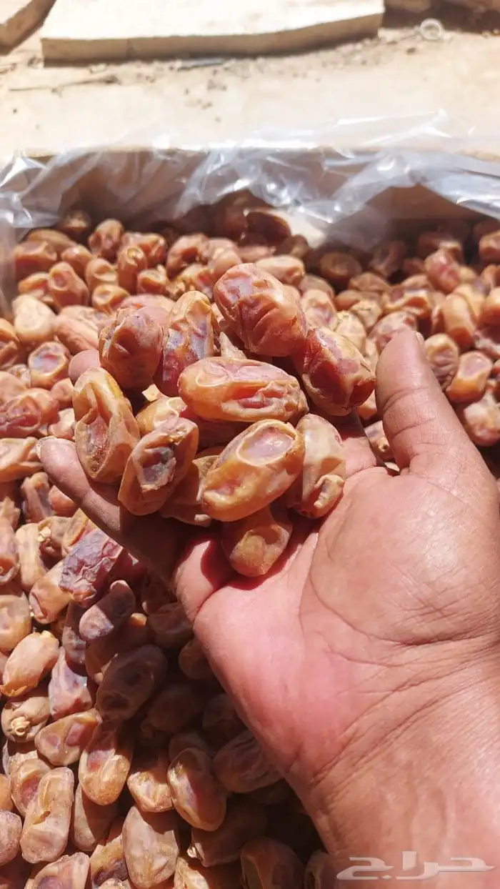 يتوفر تمر خلاص 1