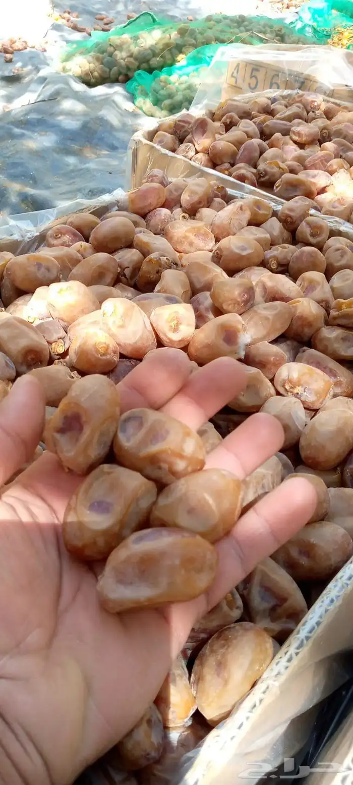 يتوفر تمر خلاص 2