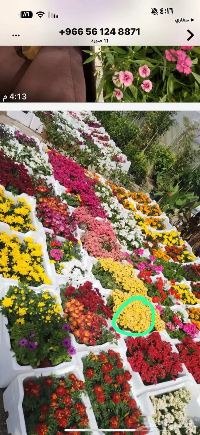 تنسيق حدائق وزراعة الثيل الطبيعي وتمديد شبكات الري 1