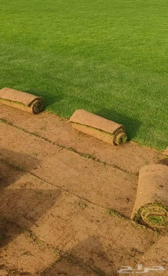 ثيل طبيعي درجة اولى C2000 8