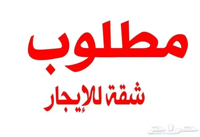 مطلوب شقة عوائل 0