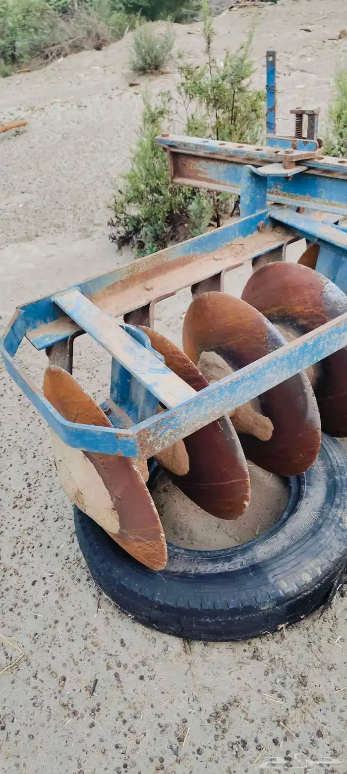 ديسك 20 صحن ايطالي اخو الجديد 4