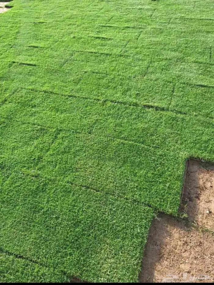 ثيل طبيعي درجة اولى C2000 4