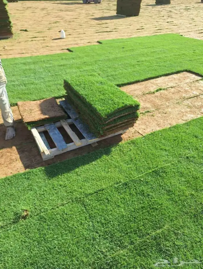 ثيل طبيعي درجة اولى C2000 0