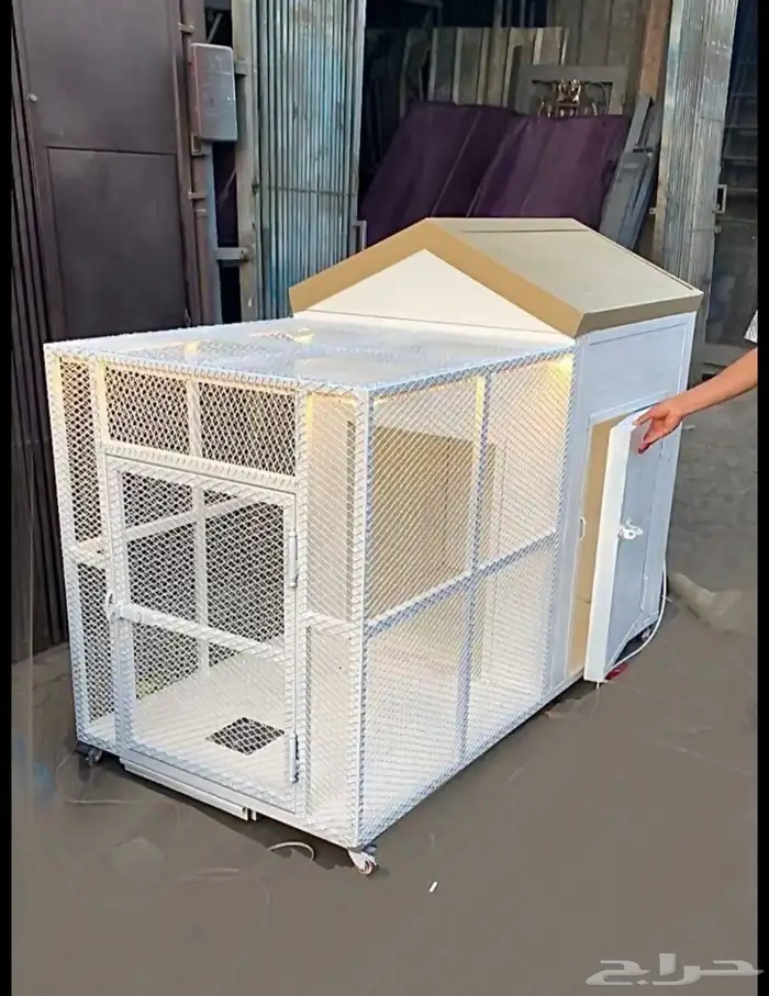 Dogs and Cat 1