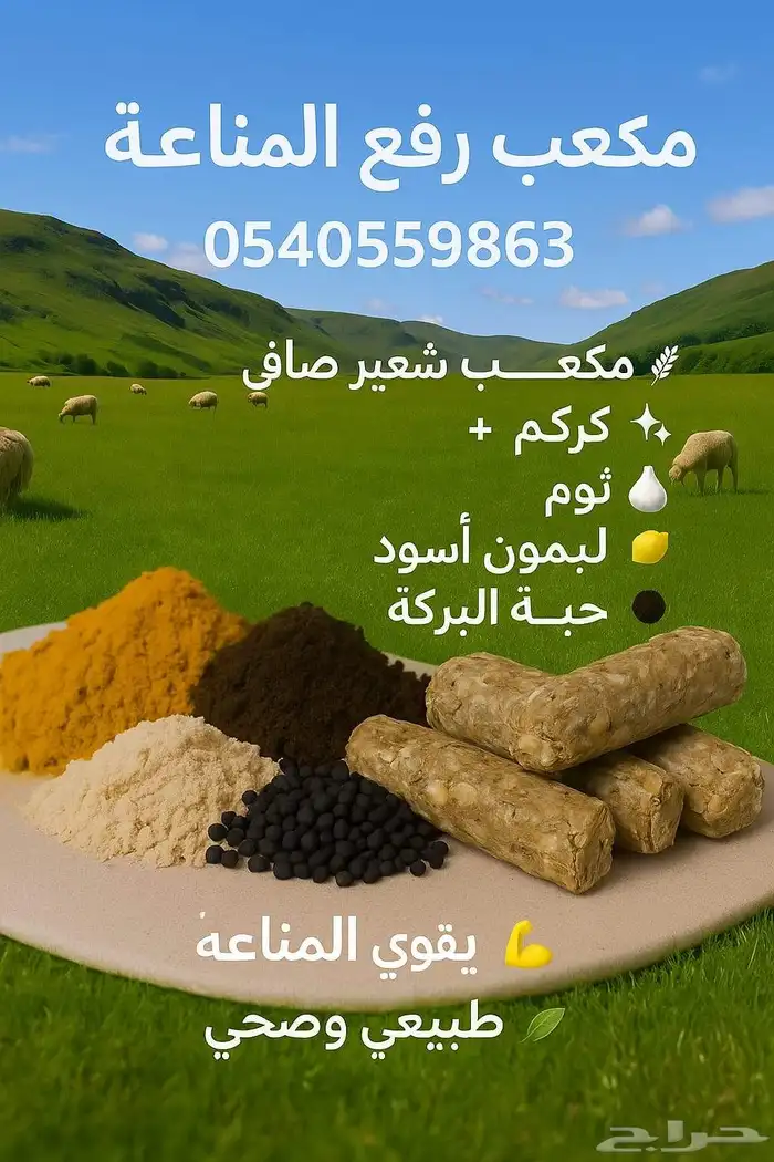 مكعب الشعير 1