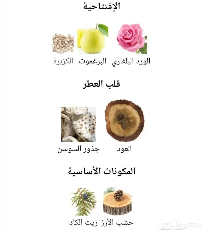 عطر تريس من سانتلوجيا 2