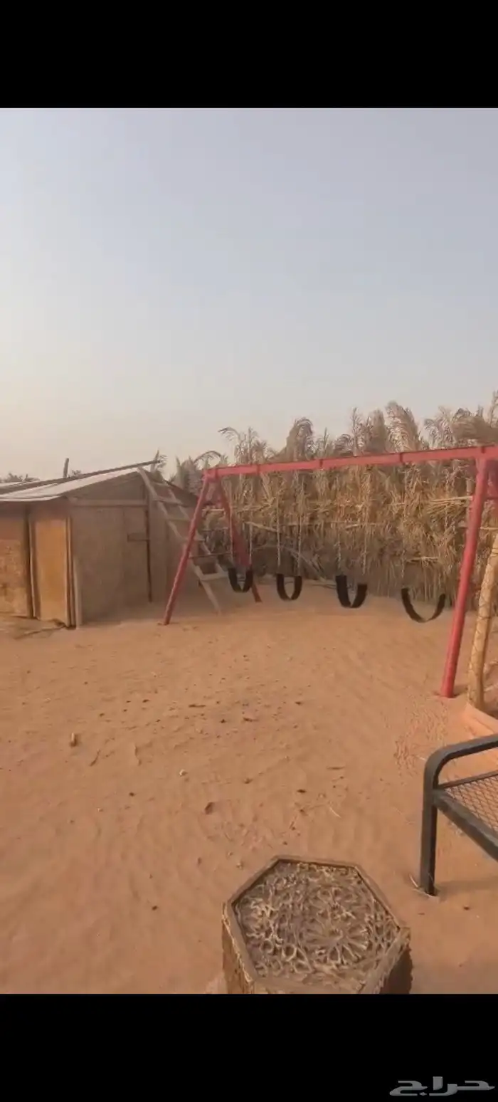 شبك غنم 1