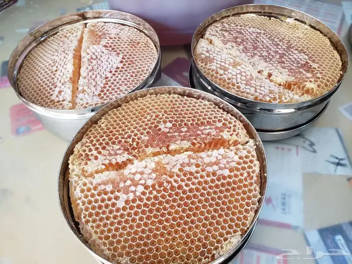 العسل العصيمي وسمره وسدر دوعني يمني اصلي 3