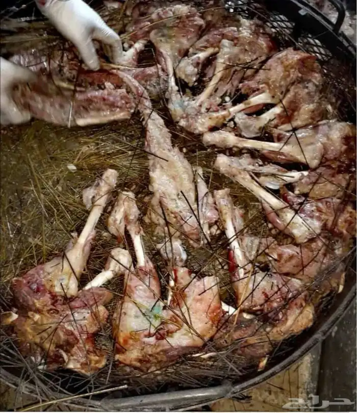 بهارات الحنيذ الجنوبي 1