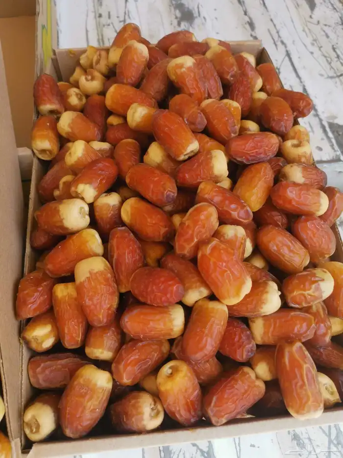 صقعي احمر جالكسي مطوق 0