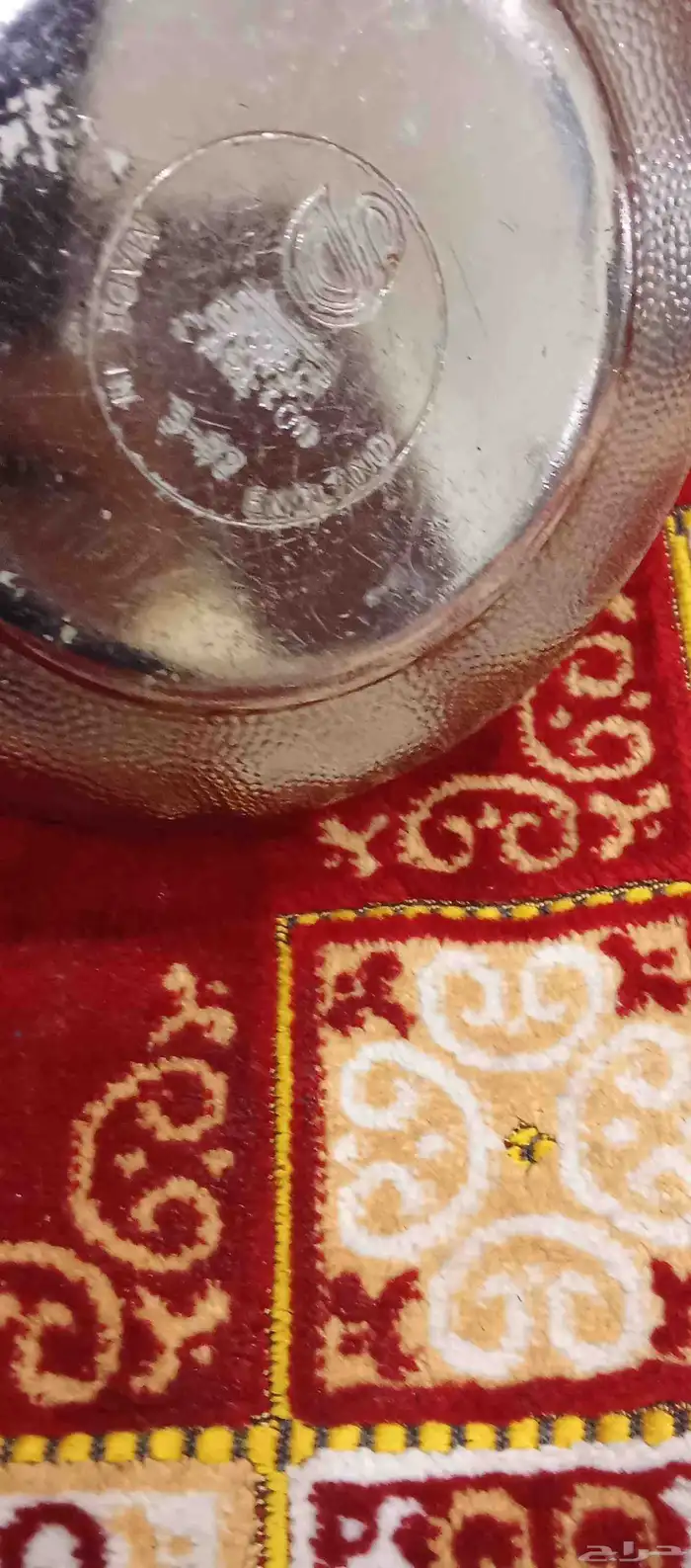 اباريق سوان انجليزي رخيصة 15