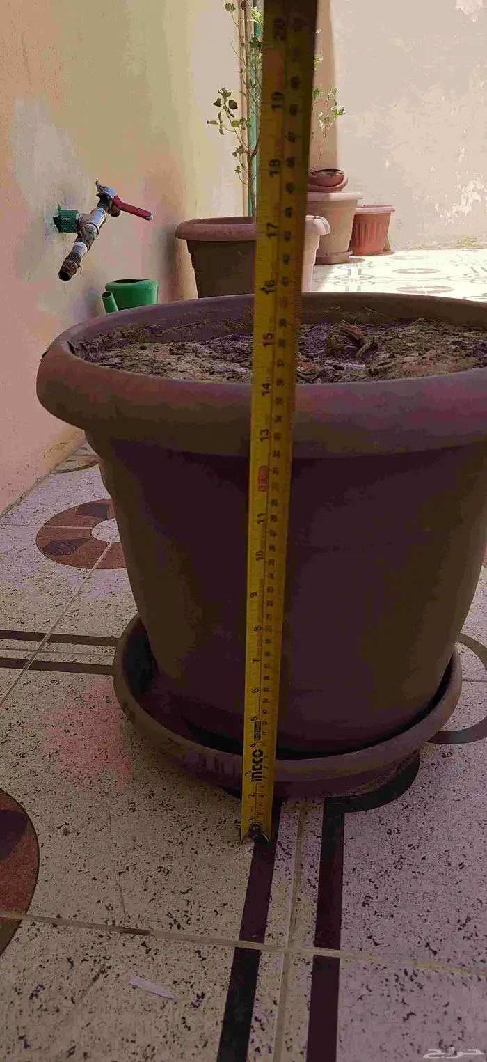 13 اصيص للزراعه مجانا 0