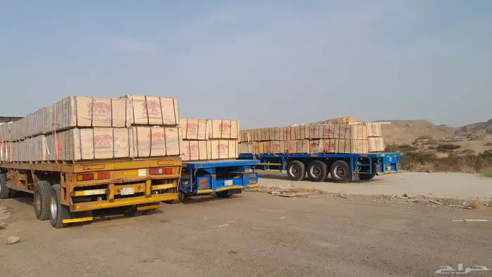 ابلاكاش بليود plywood 9   12   18 mm 4