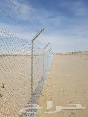 نخل ابو عبدالله توريد جميع انواع النخيل المثمرة وزيبه وتصدير 4