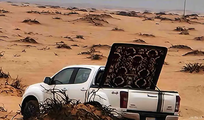 للبيع غطاء صندوق ايسوز 2020 0
