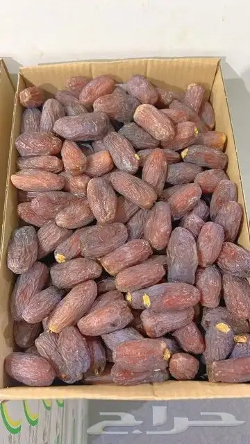 تمر مجدول درجه اولى الموقع الخرج 0