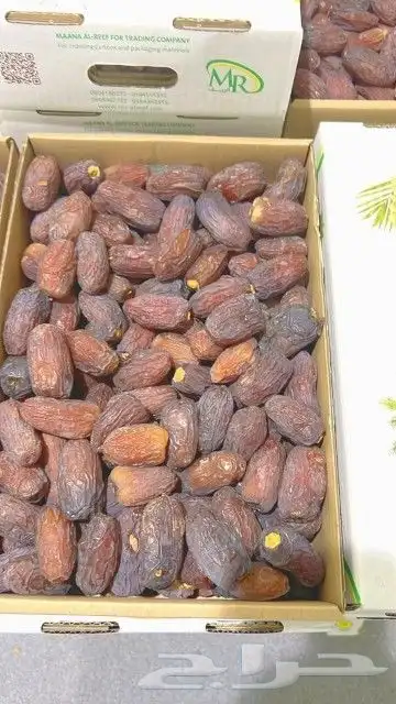 تمر مجدول درجه اولى الموقع الخرج 3