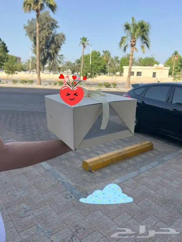 بوكس كيك بتصميم جميل وهادئ 0