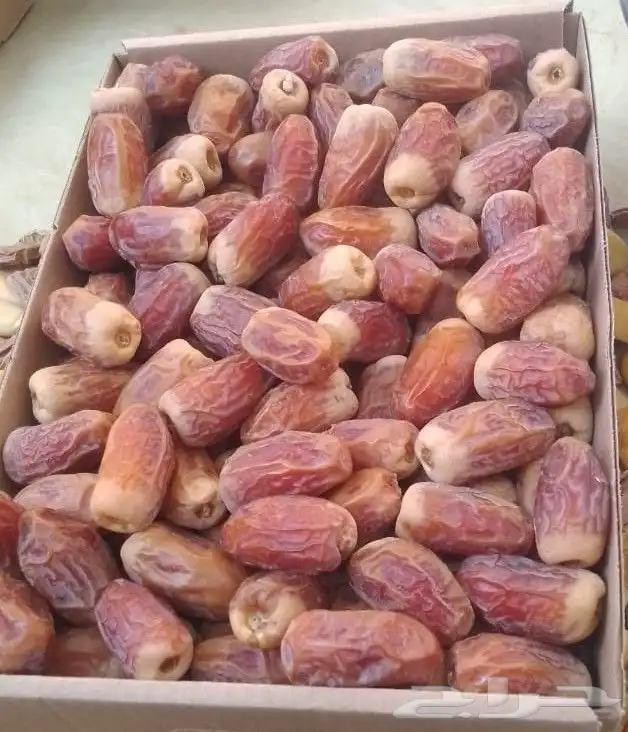 خراف رطب هلاليه وصقعي 0