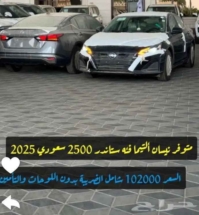 التيما استاندر موديل 25 1