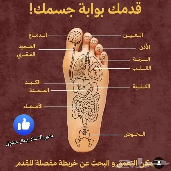 أخصائي تأهيل حركي 0