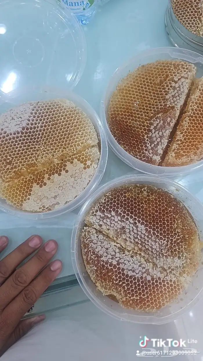 العسل العصيمي وسمره وسدر دوعني يمني اصلي 2