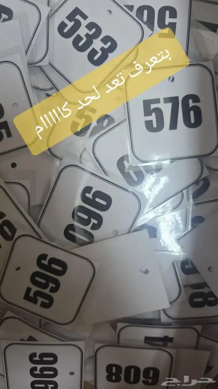 بط بلدى 0