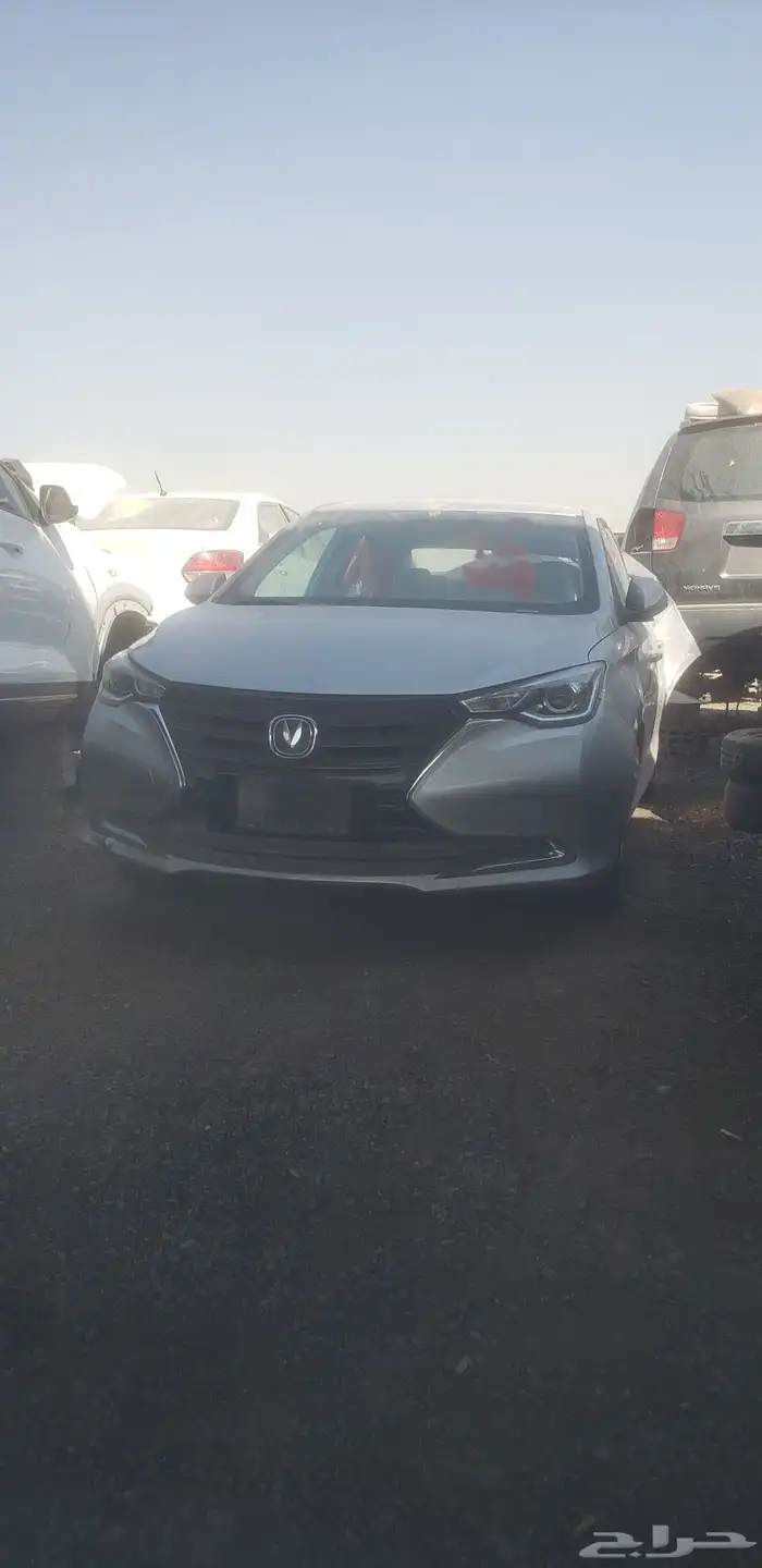 شانجان السفن 1