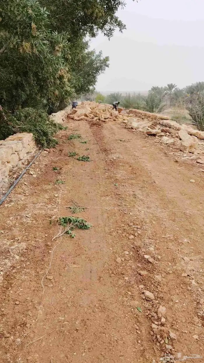 مقاول تراث قديم ترميم وشغل حديث وحجر طعبي وعشواي وشبوك مزارع 5