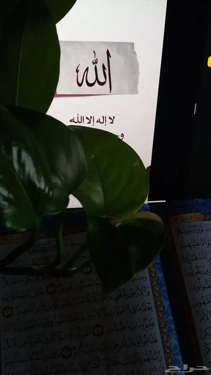 تحفيظ قرآن عن ب عد دروس دينيه عروض تقديمية 5