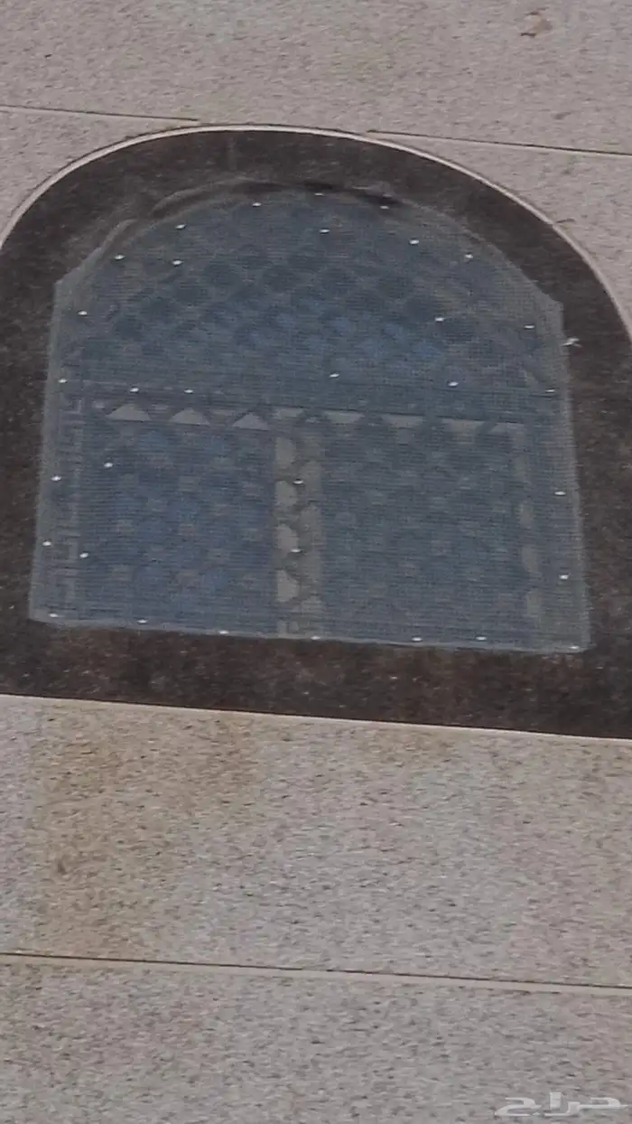 طارد الحمام المدين  المنور  مندوب اجمل 3