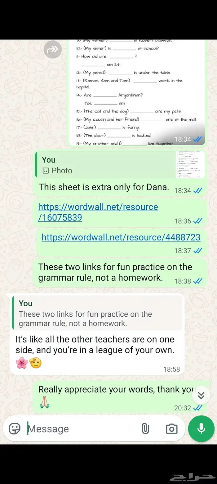 معلمه لغه انجليزيه 3