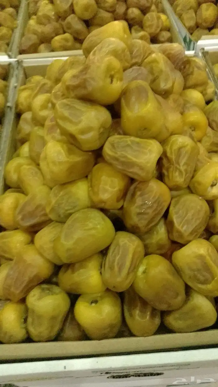 سكري مفتل وكذلك جلكسي فاخر 0