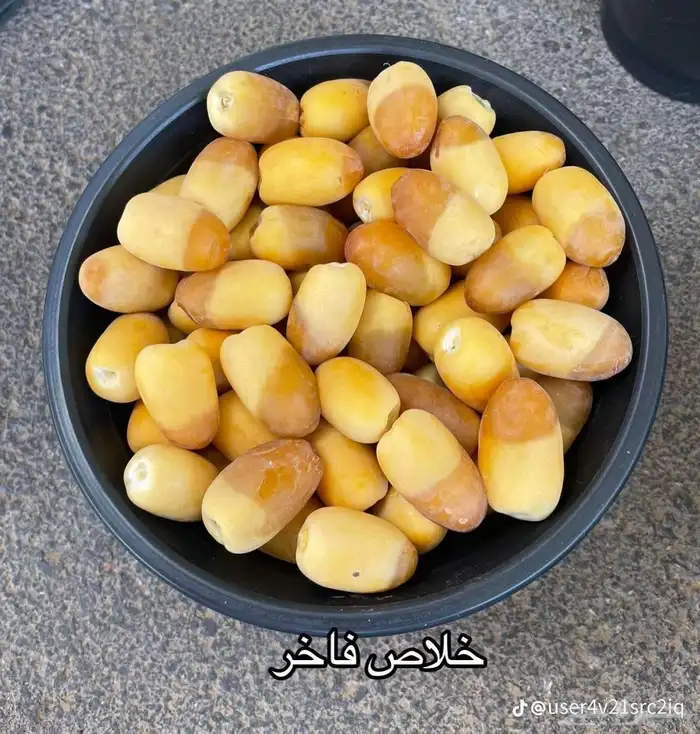 خلاص طيب 1
