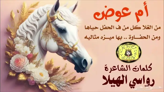 استديو احلام الطرب لتنفيذ الزفات والشيلات 5
