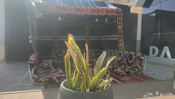 تأجير كنب وكراسي وطاولات وخيام تراثية 2