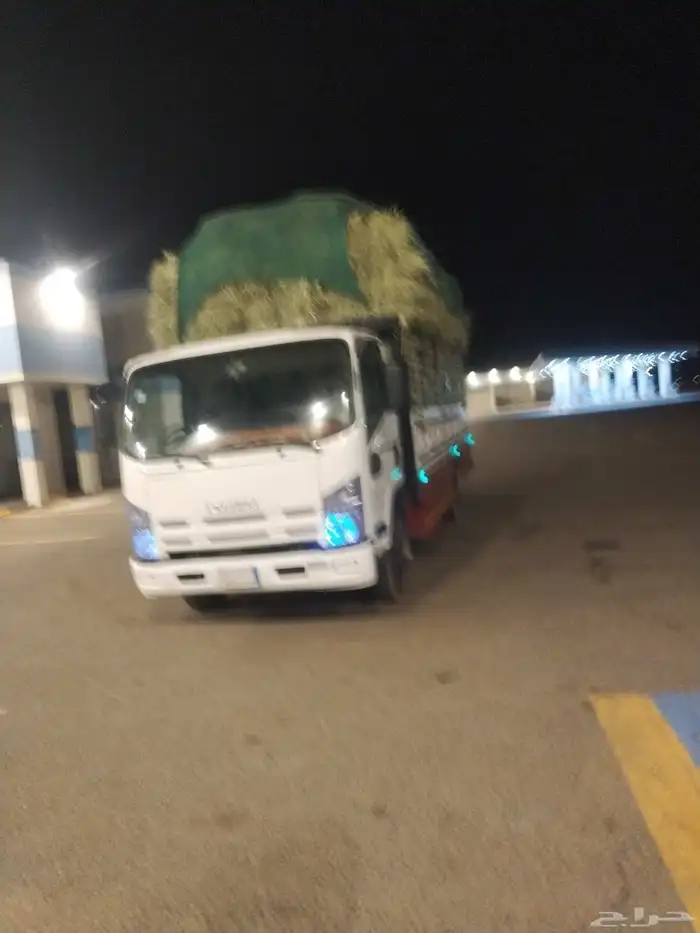 دينه محايل 6متر الحيله النزهه ترقش الضرس الريش ال فاهمه قنا 4