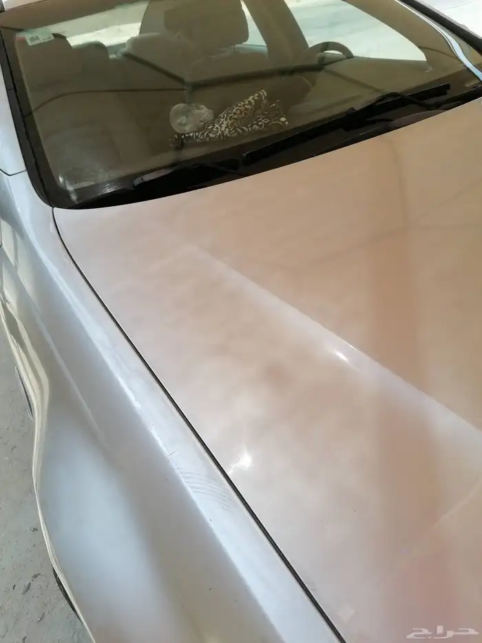 لومينا 2008 LTZ 8