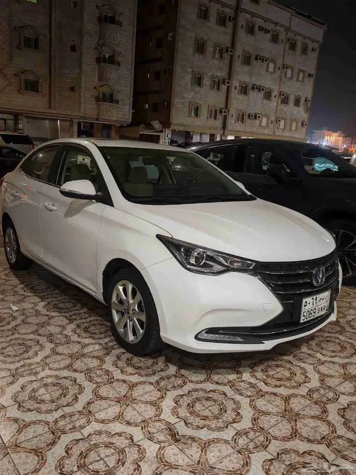 شانجان السفن 2025 1